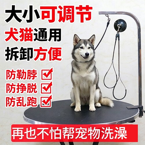 宠物美容吊绳挂绳美容桌吊绳子钢丝绳脖子挂脖狗狗猫咪洗澡固定绳