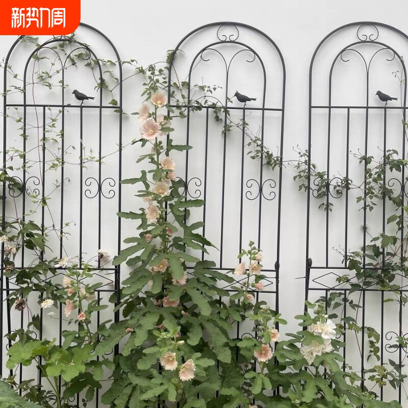 爬藤架子花支架蔷薇月季种植庭院栅栏户外花架三角梅铁艺爬藤花架