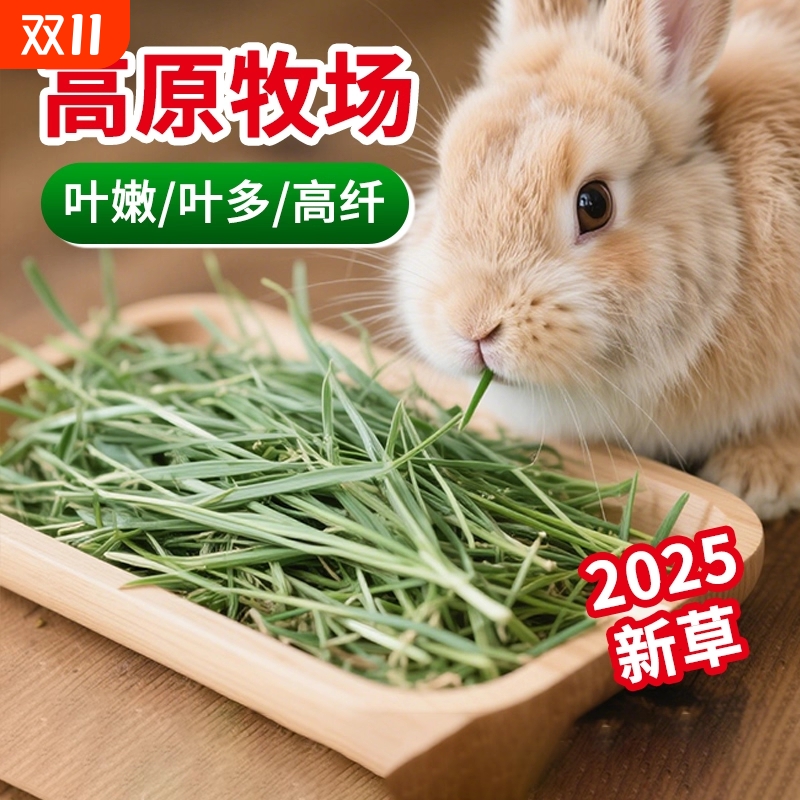 2025年晒干提摩西草干草兔子龙猫荷兰猪豚鼠牧草兔粮饲料美提加提