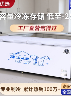 冰箱冰柜商用冷冻大容量冷藏卧式双温冷柜展示柜双门大型保鲜铜管