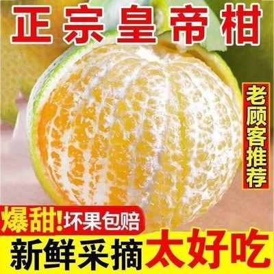 广西皇帝柑新鲜桔子9斤武鸣当季现摘甜橘子孕妇水果整箱正宗包邮5