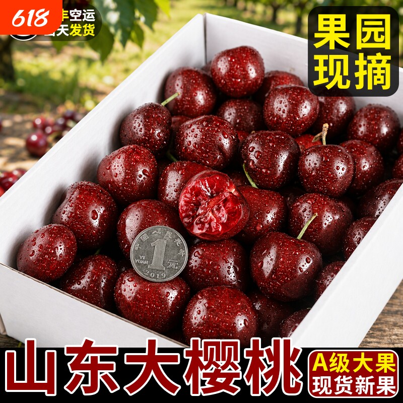 山东烟台美早樱桃国产车厘子现货当季新鲜水果现摘大樱桃5斤顺丰