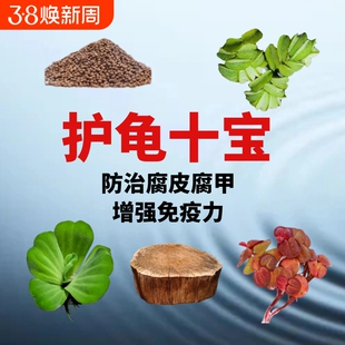 乌龟缸晒台造景装饰龙眼木水植防腐皮腐甲调节水质水草淡水净水