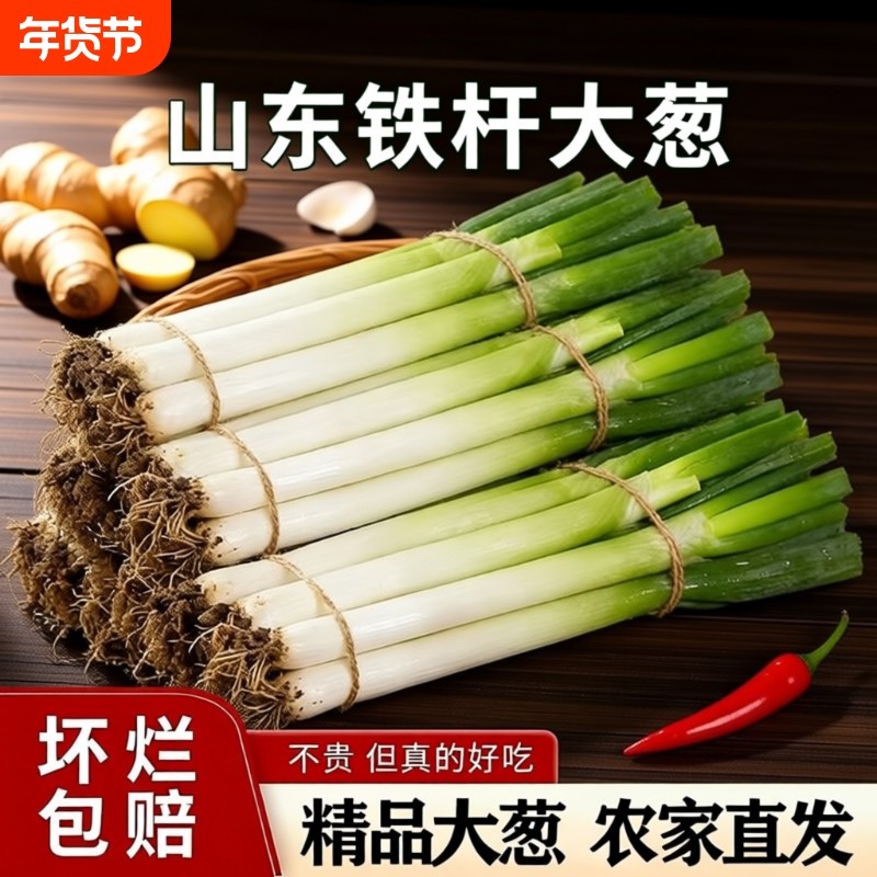 正宗铁杆大葱新鲜现挖实惠蔬菜脆甜微辣农家健康家庭必备,水产肉类/新鲜蔬果/熟食,葱类,淘宝优惠券,粉丝福利购,淘宝优惠卷
