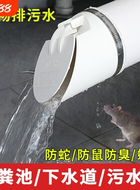 110pvc排水管防臭下水管横管外套160排污化粪池防臭防返水地漏芯
