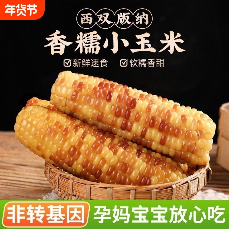 云南西双版纳香糯小玉米新鲜真空加热即食粘糯甜代餐玉米棒年货