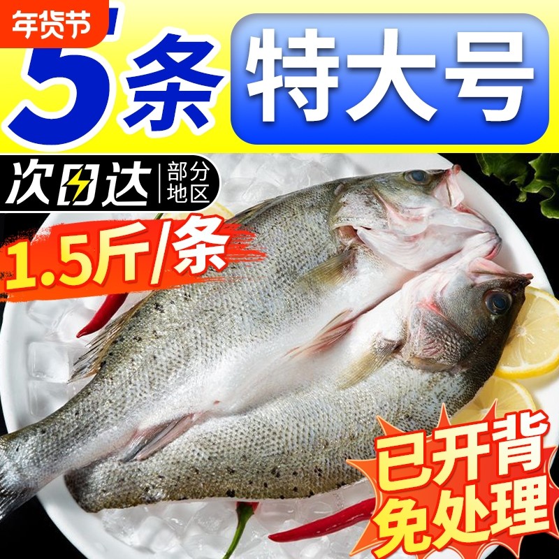 海鲈鱼开背新鲜冷冻鲜活深海鱼白蕉七星海卢鱼水产烤鱼半成品商用,水产肉类/新鲜蔬果/熟食,淡水鱼类,淘宝优惠券,粉丝福利购,淘宝优惠卷