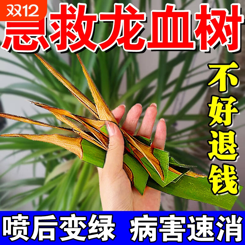 龙血树专用营养液多买多送