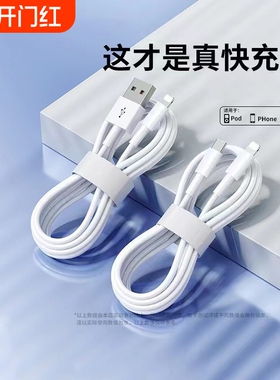 驯龙师 数据线适用于iPhone14苹果13快充11promax手机12充电器7p 6se加长8plus闪充PD20W充电线iPad平板2米XR