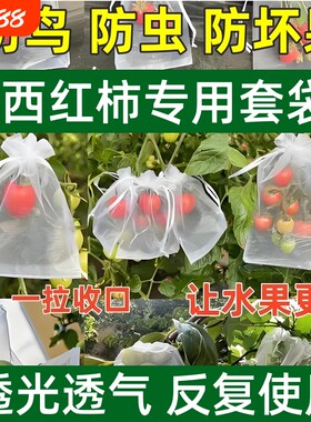 水果西红柿番茄套袋防虫网袋防鸟包专用保护袋子葡萄石榴柿子草莓