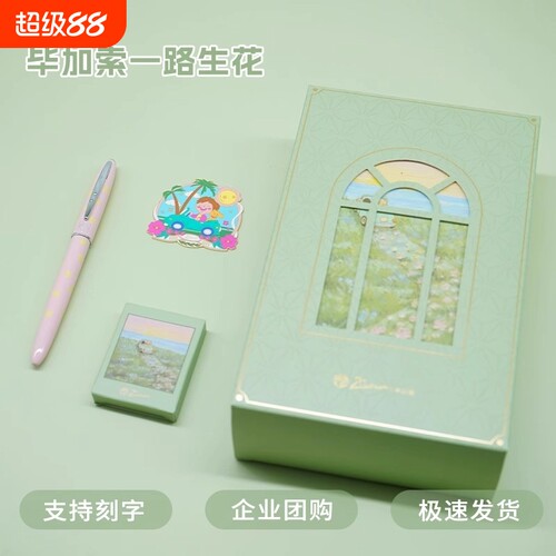 毕加索小清新高颜值套装钢笔