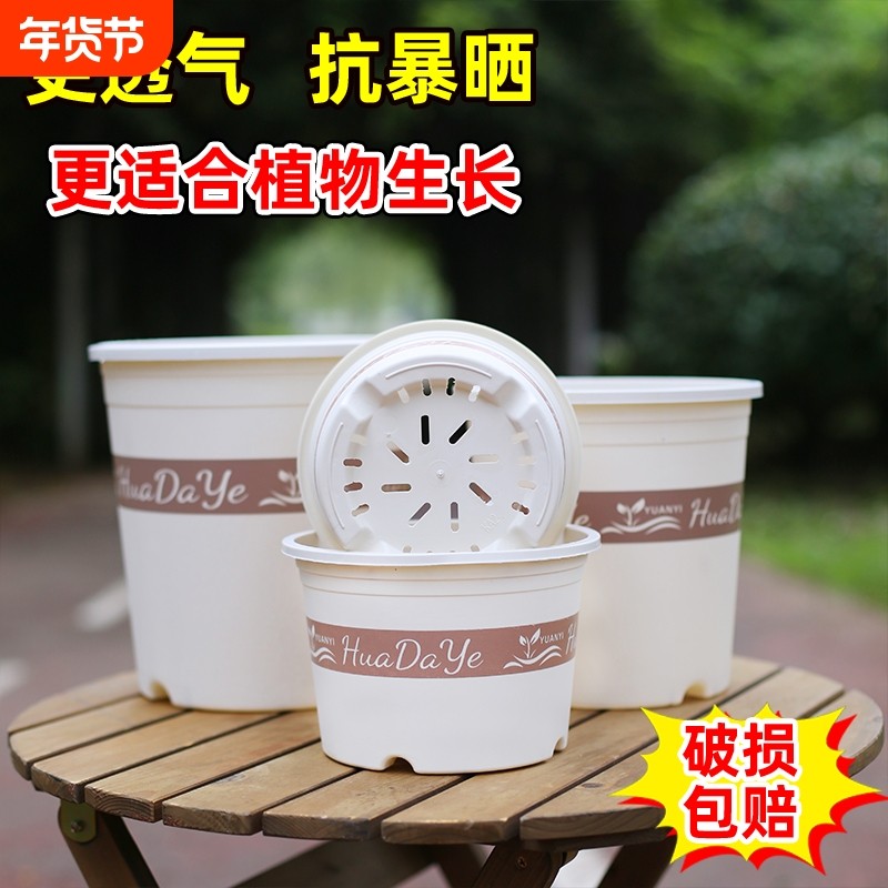 花大爷透气控根环保树脂三代白色加仑盆加厚耐用塑料花盆带托盘,鲜花速递/花卉仿真/绿植园艺,花盆,淘宝优惠券,粉丝福利购,淘宝优惠卷