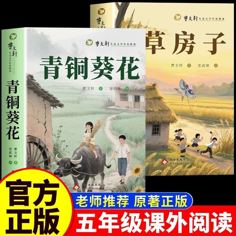 全套8册曹文轩原著儿童文学作品精选正版8册草房子青铜葵花天花板里的画像小学生课外阅读文学书籍少年心灵的启蒙小说名著完整版