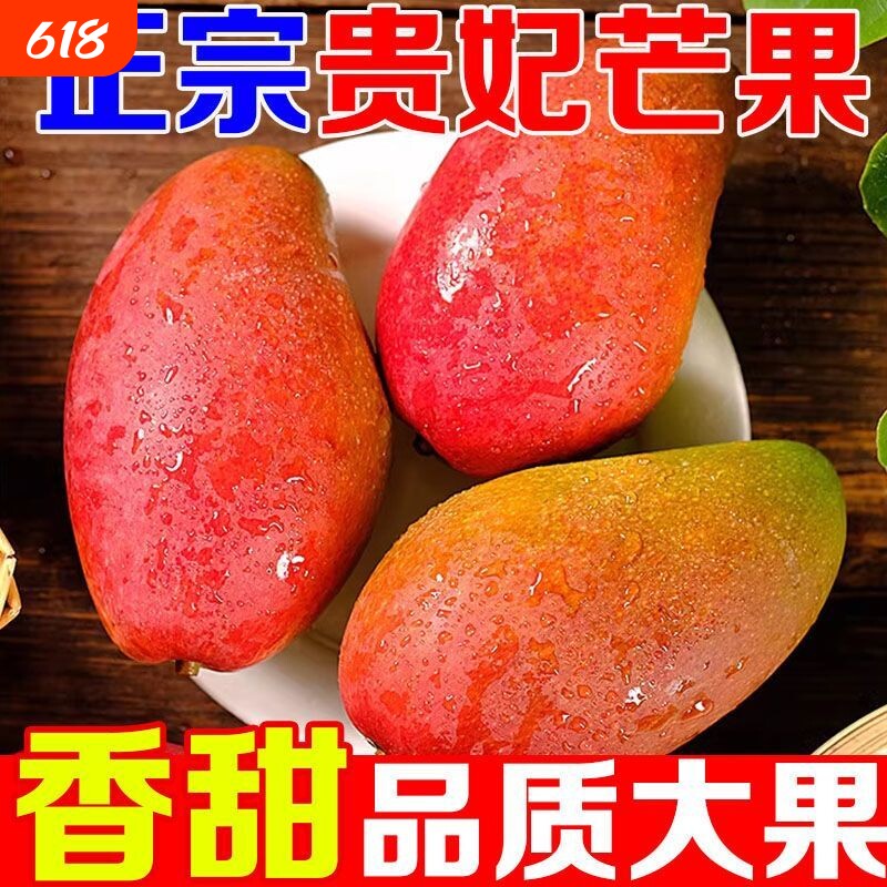 现摘贵妃芒树上熟芒果广西百色芒果特产当季新鲜水果自然熟特大果