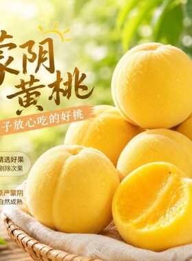 正宗山东蒙阴黄桃桃子新鲜水果毛桃黄金水蜜桃应季锦绣鲜桃现摘