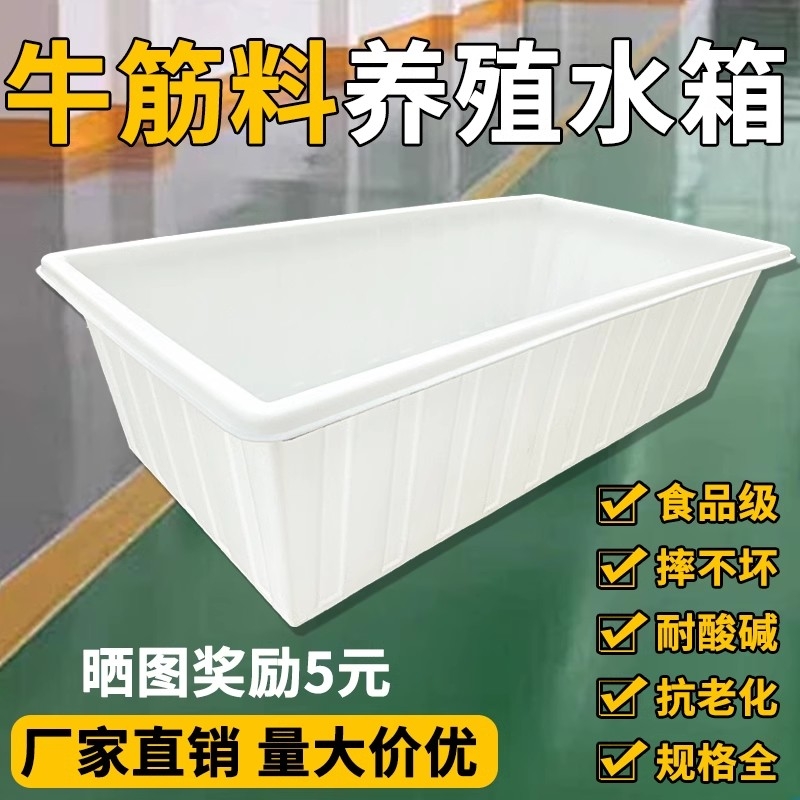 牛筋塑料水箱长方形水产养殖养鱼槽储水桶方箱养龟箱加厚水槽带盖
