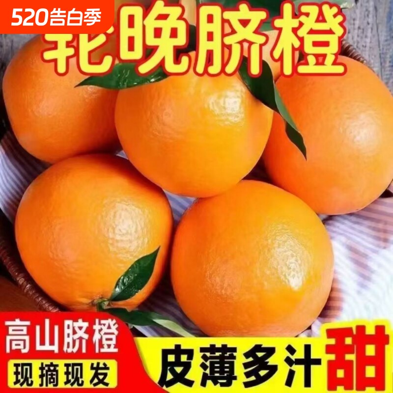 伦晚脐橙秭归橙子新鲜薄皮多汁现摘现发季水果甜橙春橙大果