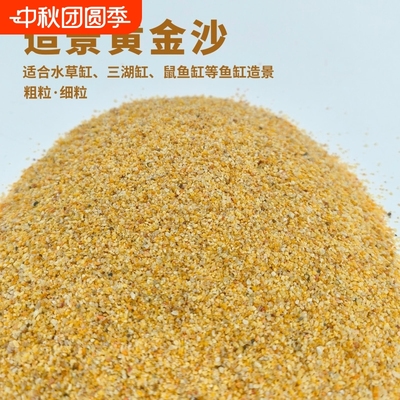 黄金沙南美缸三湖缸鼠鱼缸