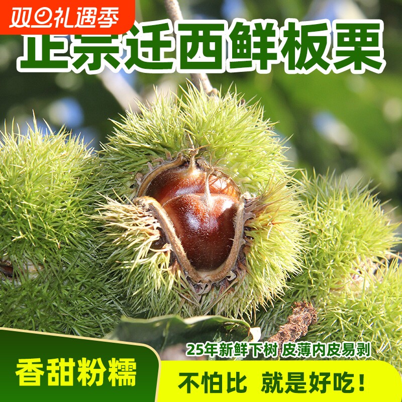 【带壳】迁西鲜板栗带壳板栗46粒左右/市斤香甜软糯好剥壳坏果少