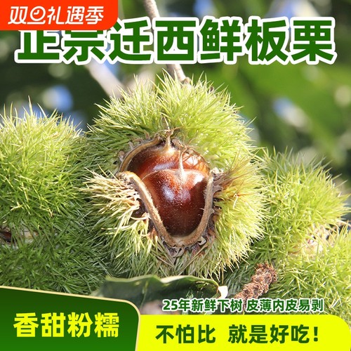 【带壳】迁西鲜板栗带壳板栗46粒左右/市斤香甜软糯好剥壳坏果少