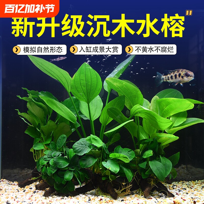 水榕沉木鱼缸水草植物真草水培增氧装饰阴性升级仿真沉木懒人造景