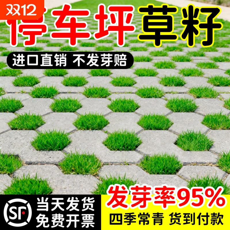 进口停车场草籽草坪砖草坪种子耐踩踏草种植砖四季常青免修剪草籽
