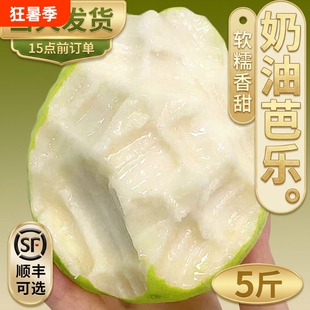 树熟广西番石榴芭乐白心冰淇淋新鲜水果软糯整箱包邮甜心香甜当季