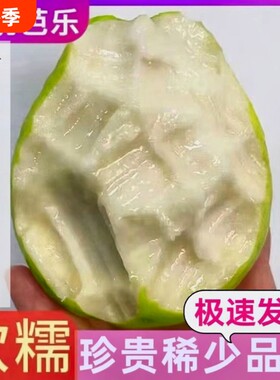 广东软糯奶油芭乐大果新鲜水果