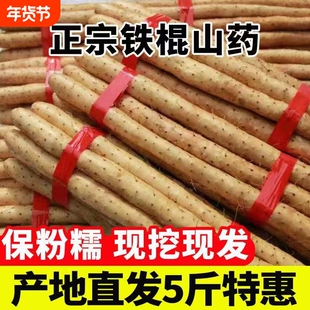 河北特产蠡县麻山药铁棍山药小白嘴山药产地直发新鲜山药辅食