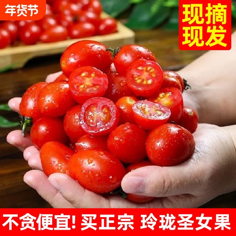 自然熟现摘露天冰糖玲珑心圣女果5斤新鲜水果千禧西红柿蔬菜番茄,水产肉类/新鲜蔬果/熟食,番茄,淘宝优惠券,粉丝福利购,淘宝优惠卷