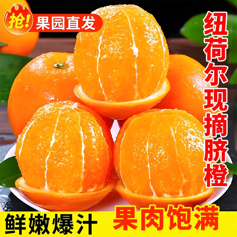 当季新鲜橙子纽荷尔脐橙现摘应季薄皮甜橙子水果可榨汁优选精品