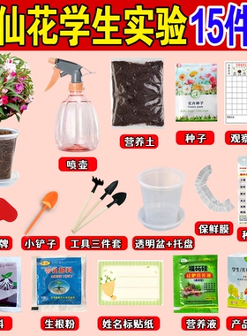 凤仙花种子小学生科学实验种植套装儿童小盆栽四年级植物花生水果