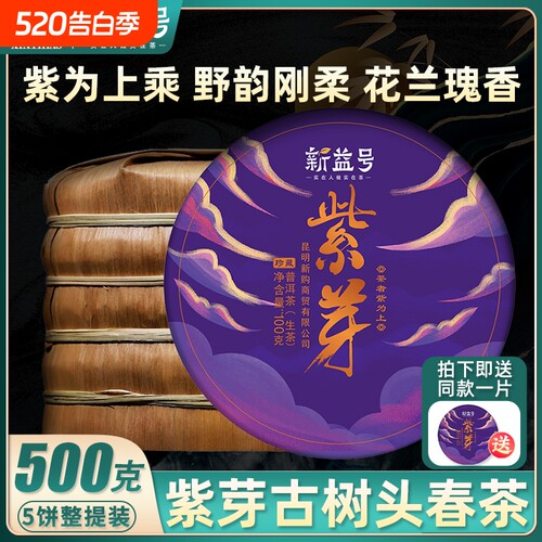 2022头春新茶紫芽普洱茶生茶茶饼