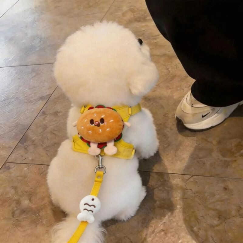 狗狗牵引绳防脱背心式胸背带幼猫中小型犬泰迪比熊博美外出遛狗绳图片