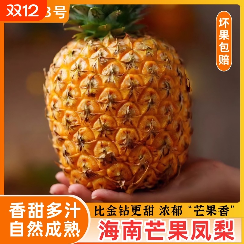 海南芒果凤梨台农23号新鲜凤梨