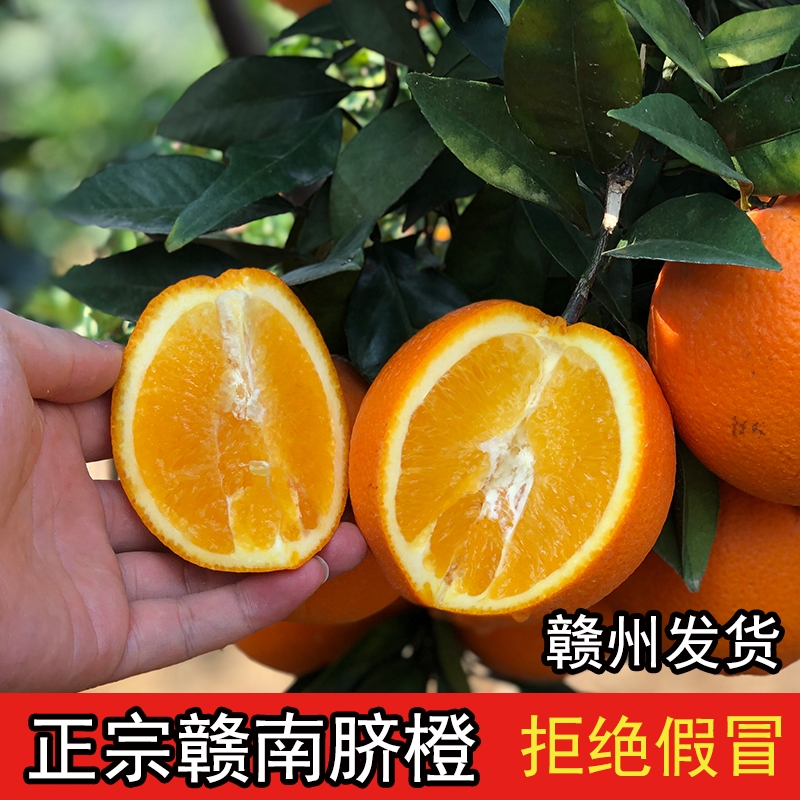 江西脐橙10斤新鲜|超1000次加购