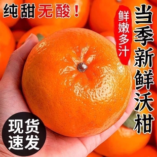 云南高山沃柑新鲜水果应当季蜜桔甜直发整箱原产地果子纯甜正常