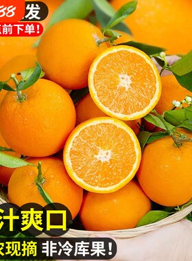 正宗秭归夏橙子脐橙新鲜当季水果果冻冰糖甜橙大果整箱包邮现摘
