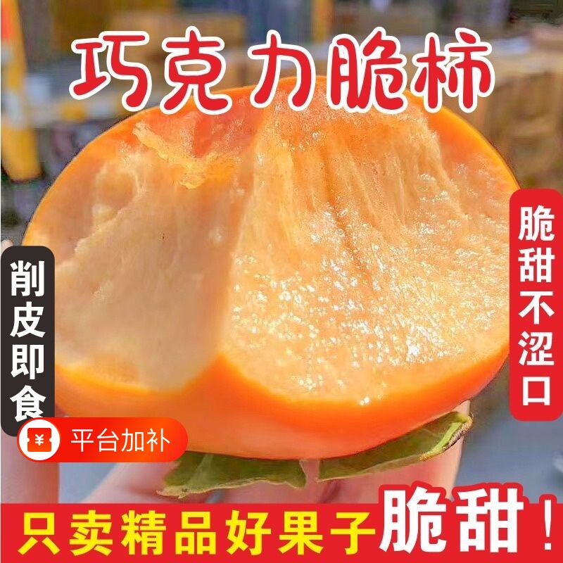 正宗阳丰巧克力脆柿子新鲜水果时令孕妇柿子一整箱包邮精品脆甜