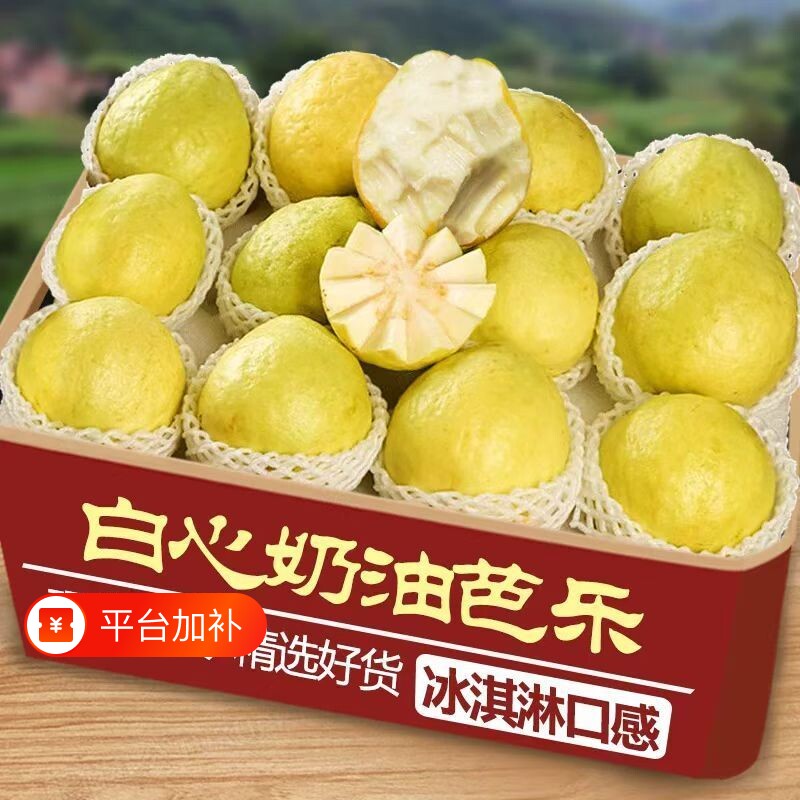 广东黄金奶油芭乐水果新鲜包邮白心番石榴软心低糖鸡屎果双拼5斤