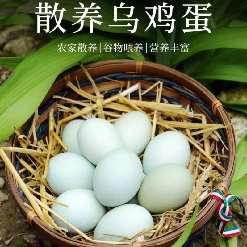 新鲜农村散养绿壳乌鸡蛋孕妇宝宝柴鸡蛋土鸡蛋笨鸡蛋五黑鸡喂养,水产肉类/新鲜蔬果/熟食,鸡蛋,淘宝优惠券,粉丝福利购,淘宝优惠卷