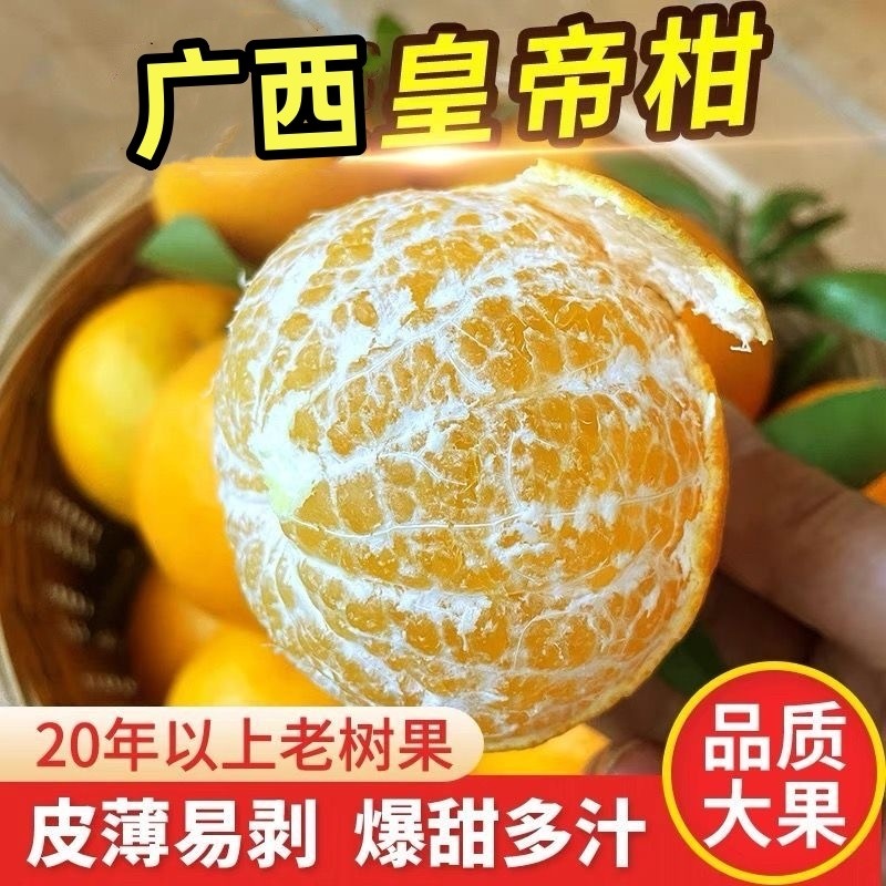 广西皇帝柑新鲜桔子9斤武鸣当季现摘甜橘子孕妇水果整箱正宗包邮5,水产肉类/新鲜蔬果/熟食,桔子,淘宝优惠券,粉丝福利购,淘宝优惠卷