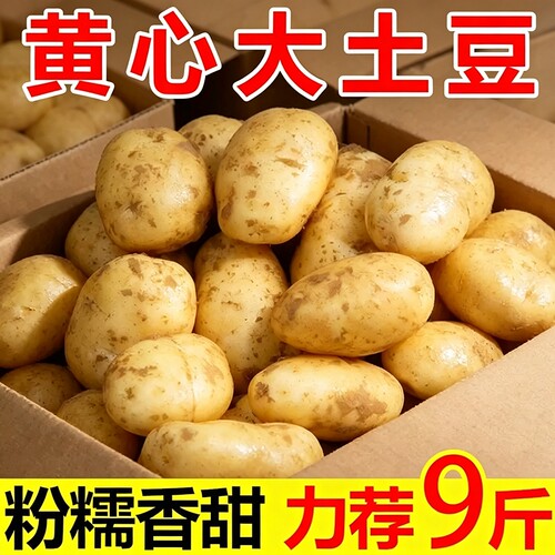 粉沙面土豆9斤包|超4000次加购