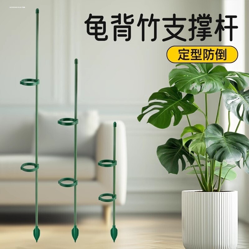 园艺支撑杆花架固定器龟背竹花支架固定花植物花杆爬藤防倒伏卡扣图片