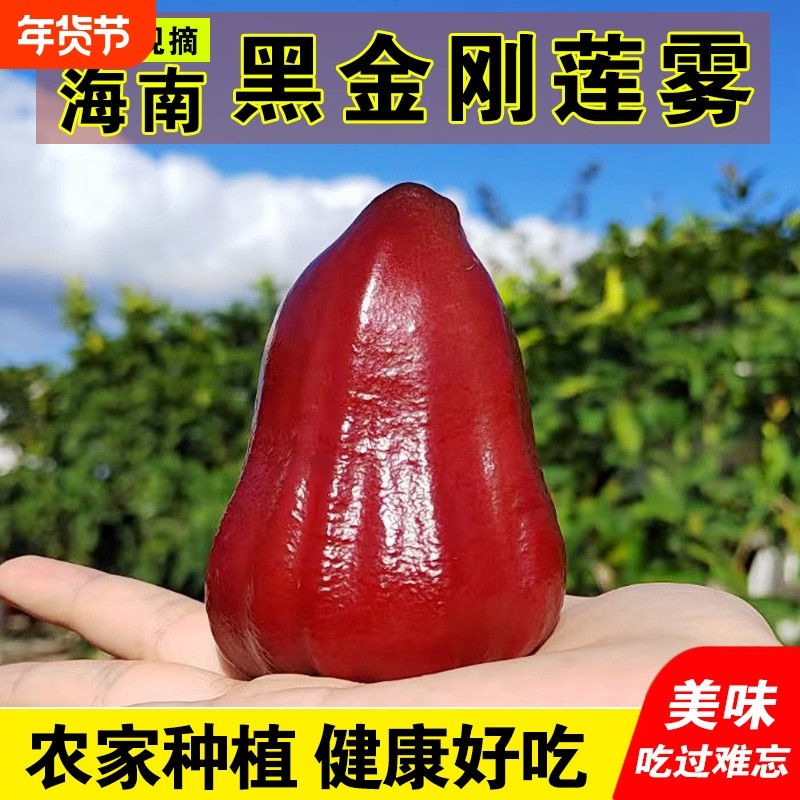 海南黑金刚莲雾中小果热带新鲜水果正宗树熟宝石雾莲脆甜净重包邮