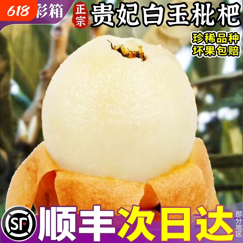 顺丰大果 正宗贵妃白玉枇杷5斤新鲜水果孕妇白枇杷果青种琵琶超甜
