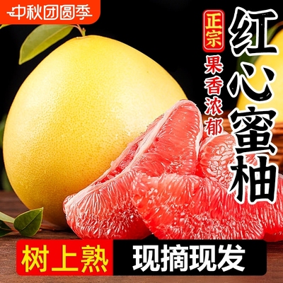 正宗红心柚子新鲜水果包邮应季时令水果红肉蜜柚福建平和琯溪红柚