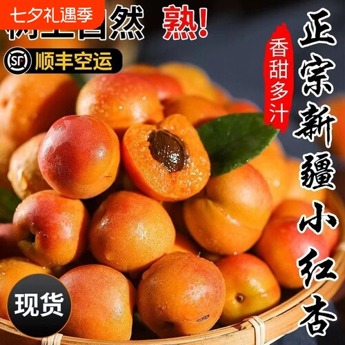 新疆阿克苏小红杏新鲜现摘水果