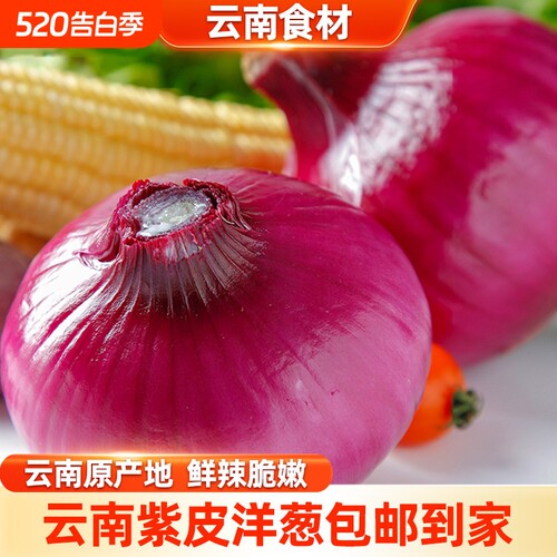 紫皮洋葱圆葱新鲜农家自种蔬菜辛辣脆爽红皮大营养丰富新鲜