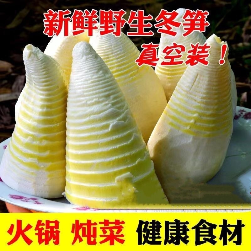 江西冬笋野生新鲜特产竹笋笋尖水煮农家春笋批发袋装清水火锅蔬菜
